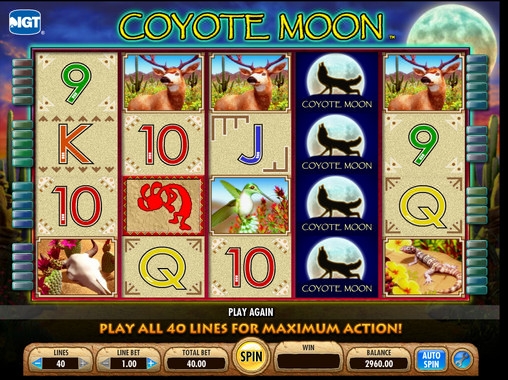 Coyote Moon (Луна койота) из раздела Игровые автоматы